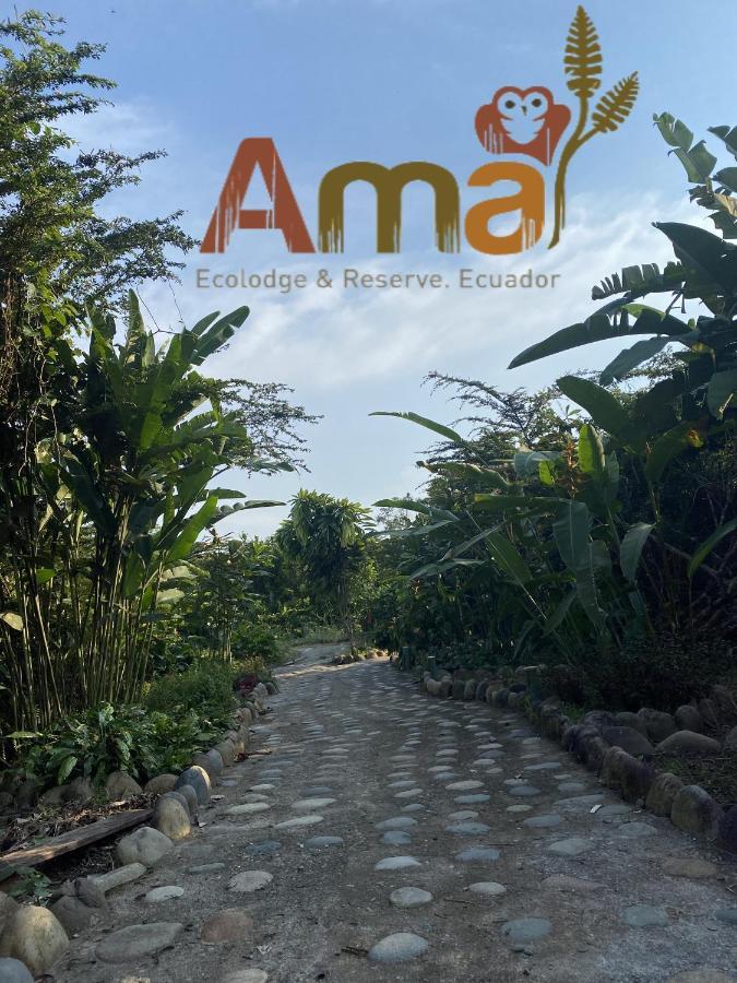 Ama Ecolodge Puerto Misahuallí Extérieur photo